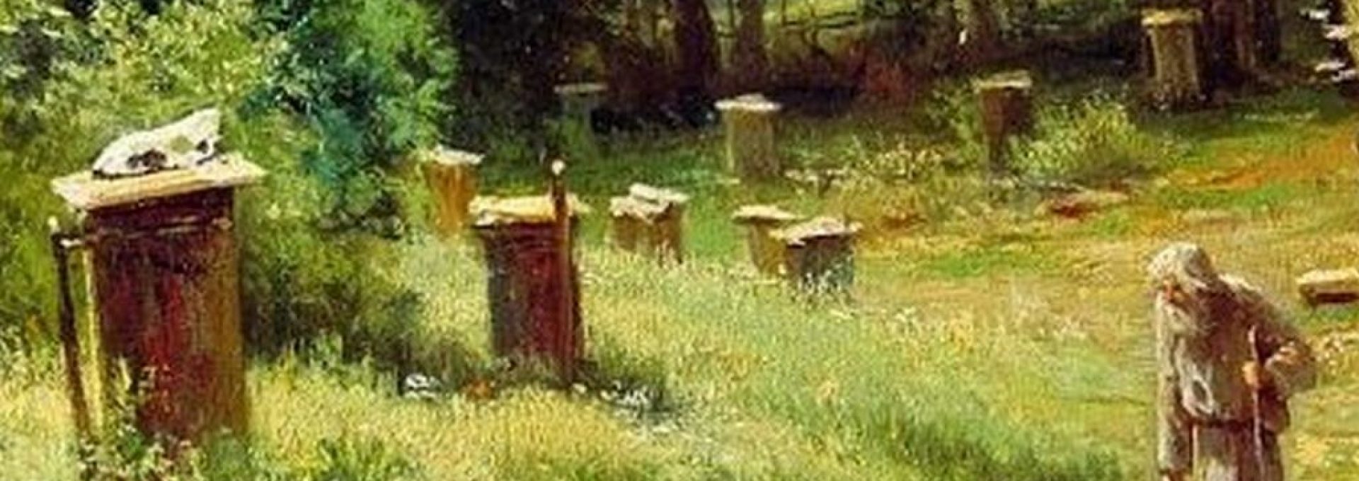História včelárstva